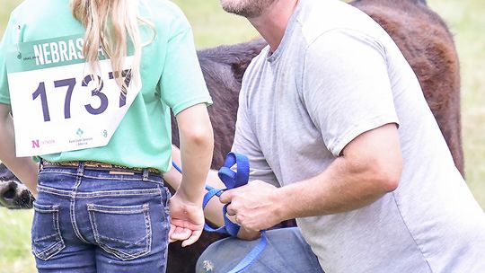 A little father-daughter discussion