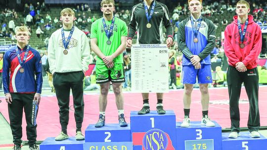 BERGEN IS SOLID GOLD