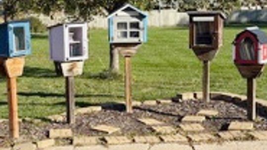 Edgar Little Libraries receive grant