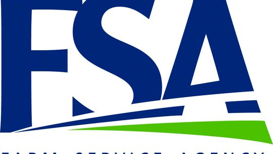 Farmers encouraged to participate in FSA County elections