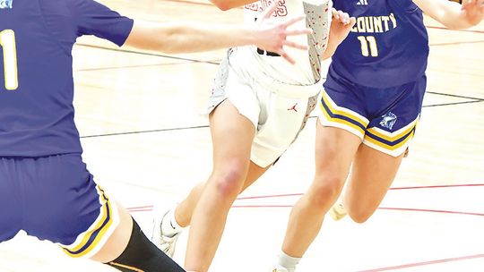 Fillies hold off Tri County 52-40 to win D1-2 Sub-District title