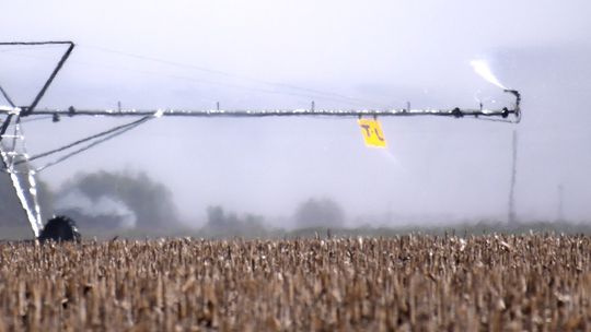 Forecast calling for a bumper corn crop in Clay County