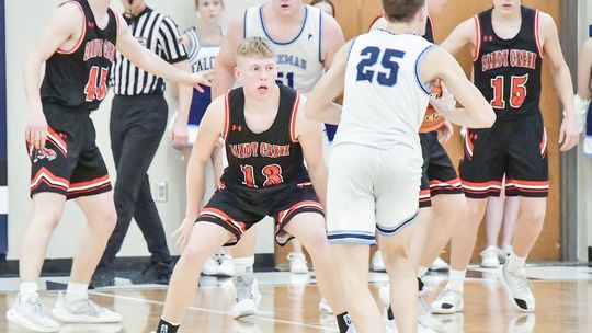 Freeman takes down Cougars in C2-1 District Final