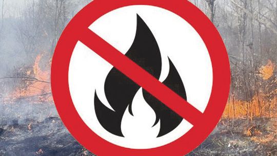 Pillen issues statewide burning ban