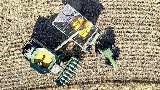 Research shows risk‑averse producers sell earlier in grain marketing year