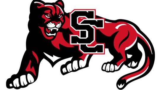 Shaw, Stengel again pace SC girls cross country at loaded Fairbury meet
