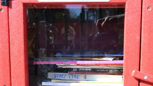 Sutton Library installs 2 Free Little Libraries