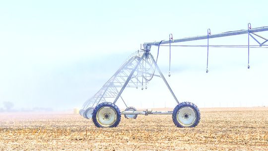 The planting and growing season is in full gear