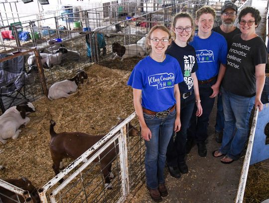 4-H a year-round event for Brhel family