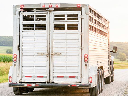 After the Clay County Fair: Looking back at where the traditions began