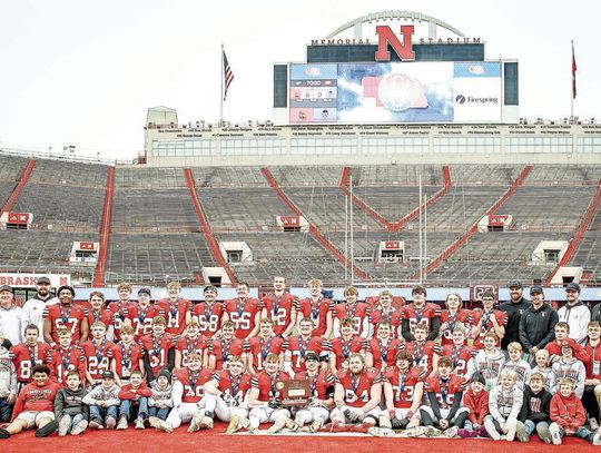 Cougars earn 2nd straight D-1 title