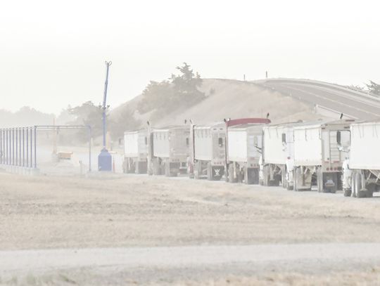 CPI’s Lewis grain facility fills up with truck traffic as harvest continues in Clay County, area