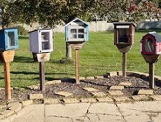 Edgar Little Libraries receive grant