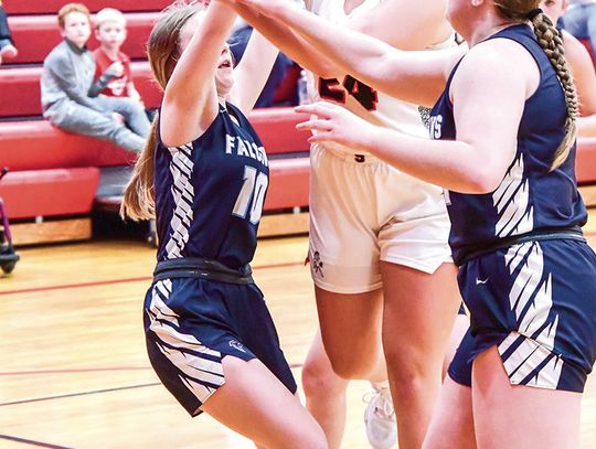 Fillies hold off Freeman