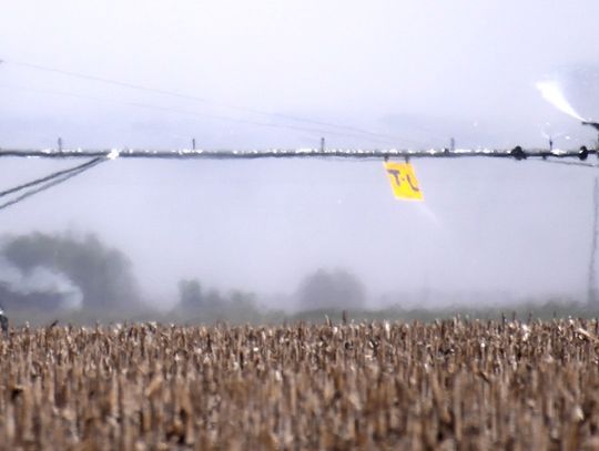 Forecast calling for a bumper corn crop in Clay County