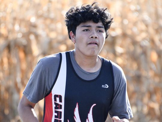 Harvard cross country wraps up season at D-4 District meet