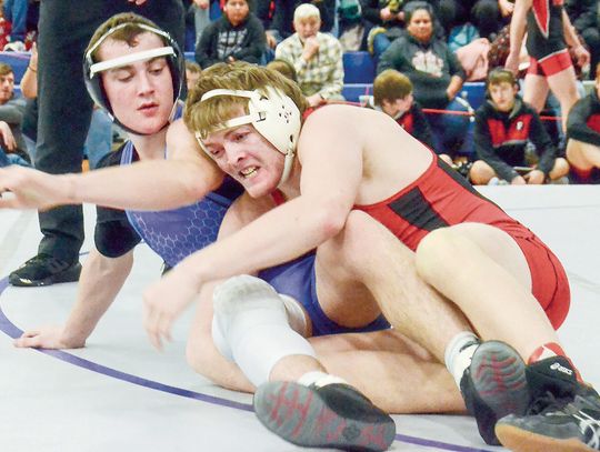 Harvard/Giltner wrestling season comes to close at D-1 district meet