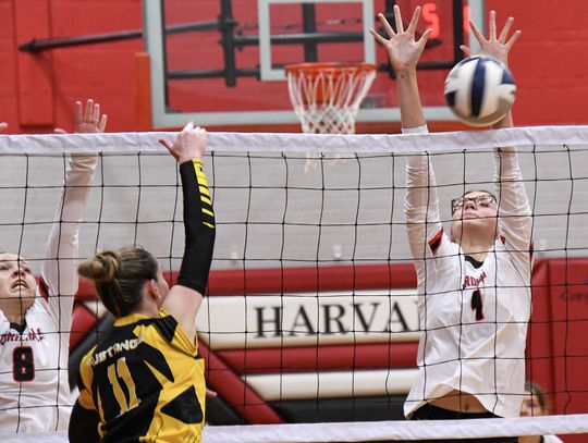 Harvard volleyball downs McCool Junction, Palmer at home