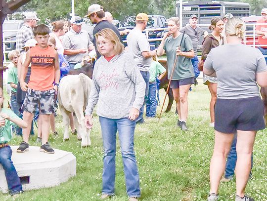 Let the 2026 beef show begin