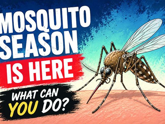 Mosquito season is here: what research says about prevention and relief
