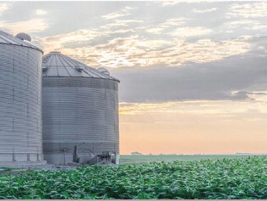 Nebraska Corn Board and Nebraska Soybean Board Promote Stand Up 4 Grain Safety Week