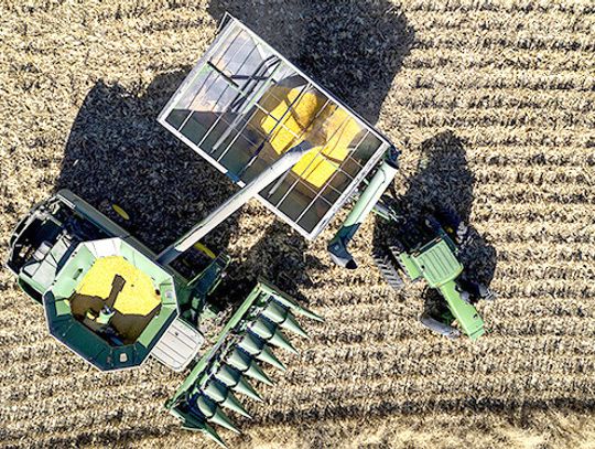 Research shows risk‑averse producers sell earlier in grain marketing year