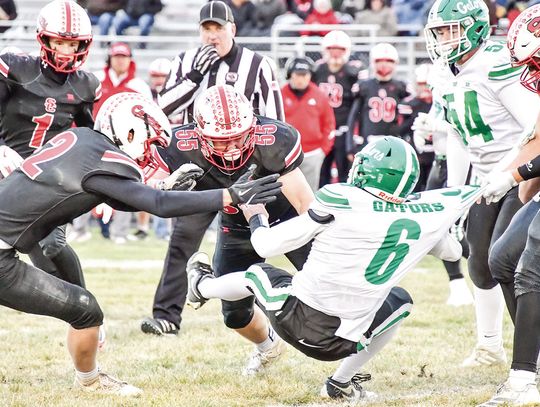 SC swamps the Gators