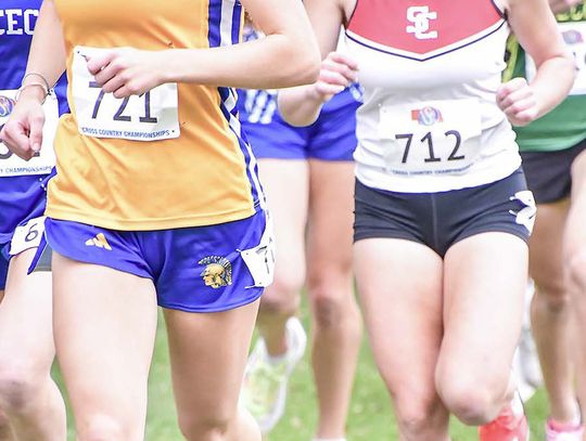 Shaw earns 2nd state meet medal