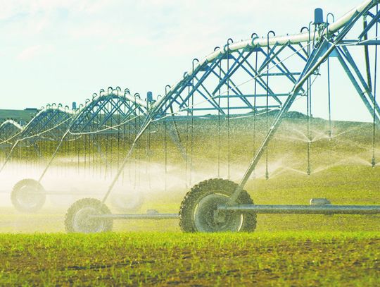 Study shows reduced irrigation and healthy crops