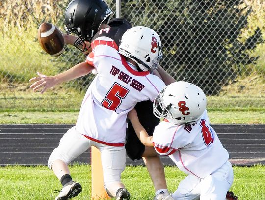 Sutton and Sandy Creek football...pee wee style