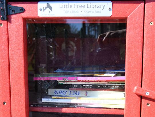 Sutton Library installs 2 Free Little Libraries