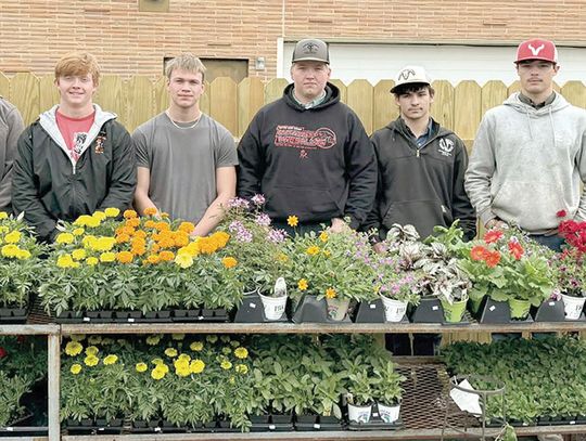 Sutton students build skills, give back with hands-on construction projects