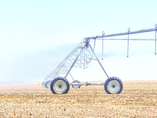 The planting and growing season is in full gear