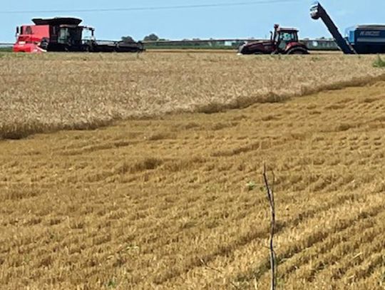 Time to harvest