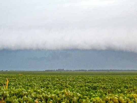 Tornadoes touch down in county, surrounding area