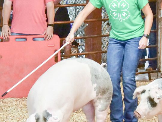 Two seniors reflect on their final year in 4-H