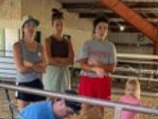 Youth learn at Livestock Showmanship Clinic June 30