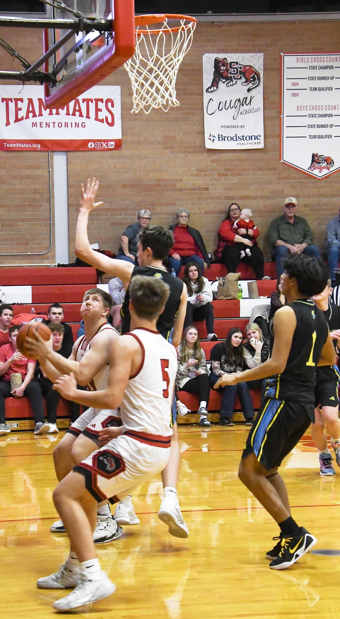 Cougars cruise past St. Cecilia, St. Paul last week, record is 9-4