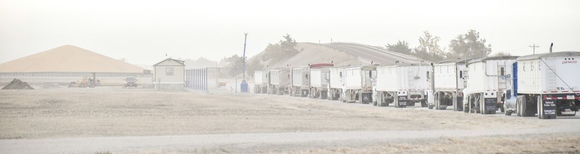 CPI’s Lewis grain facility fills up with truck traffic as harvest continues in Clay County, area