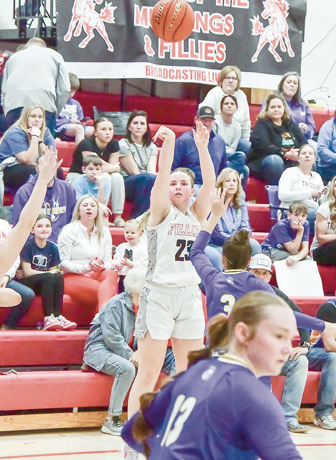 Fillies are state bound