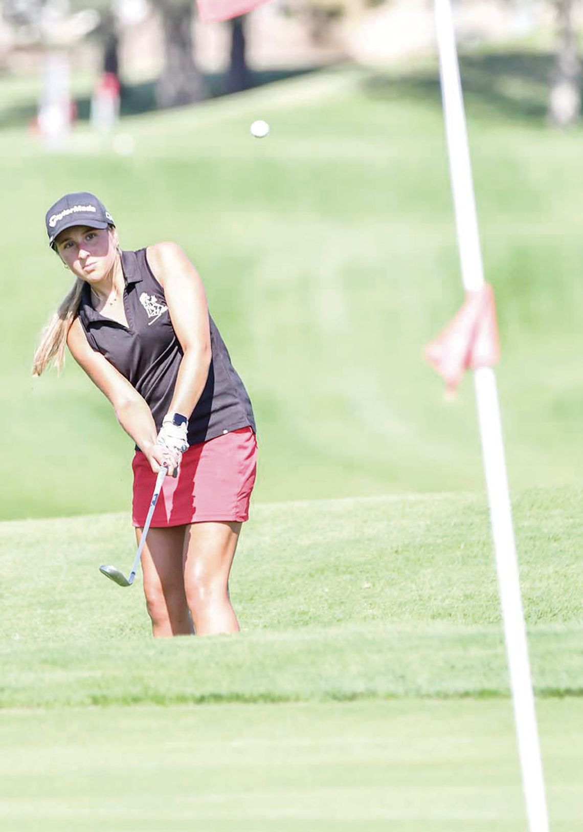 Fillies golf hosts home quad, Ochsner, Trejo paces Sutton