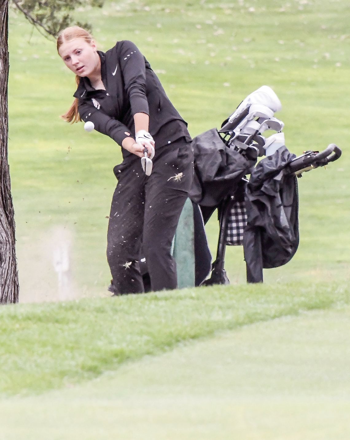 Fillies match school record with 5th place state golf finish Fillies match school record with 5th place state golf finish