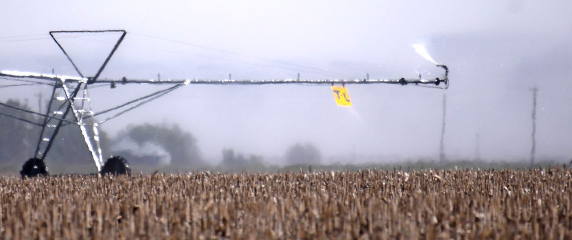 Forecast calling for a bumper corn crop in Clay County