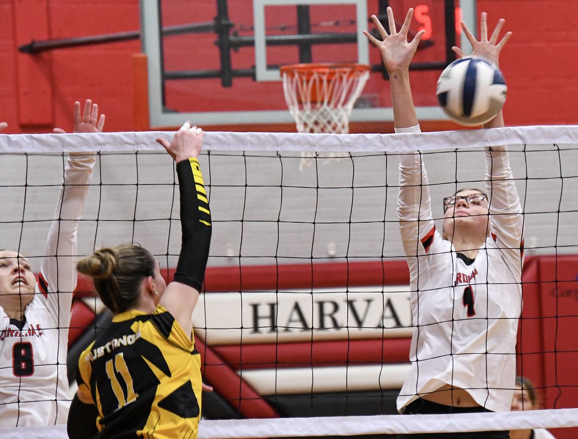 Harvard volleyball downs McCool Junction, Palmer at home