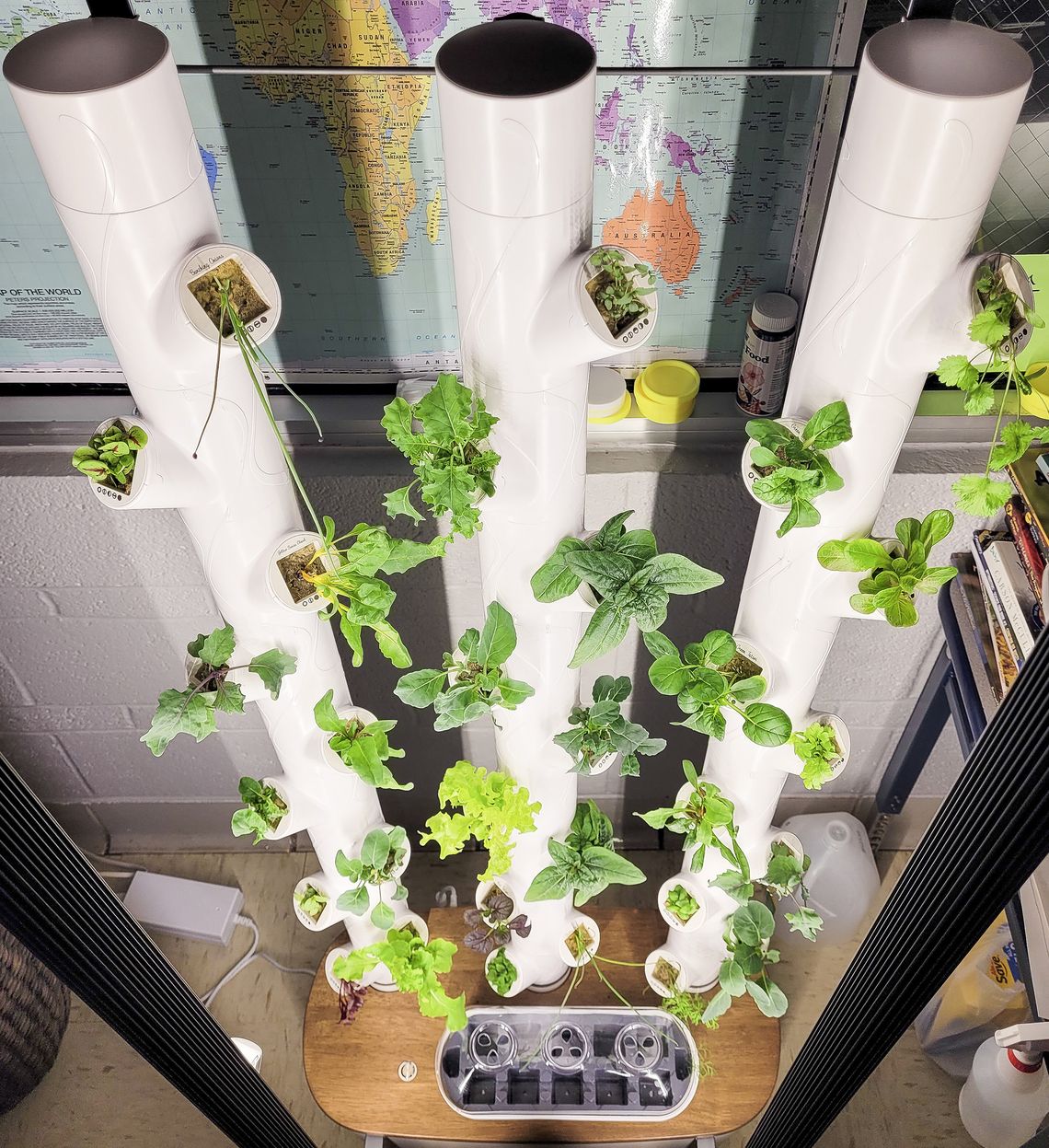 Hydroponics finds a place at HPS