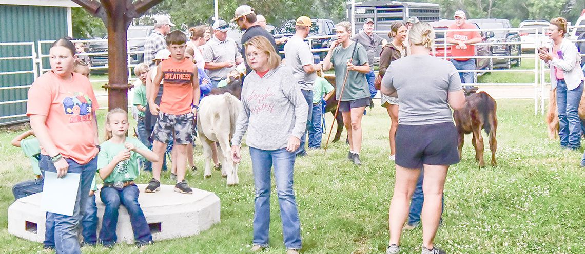 Let the 2026 beef show begin