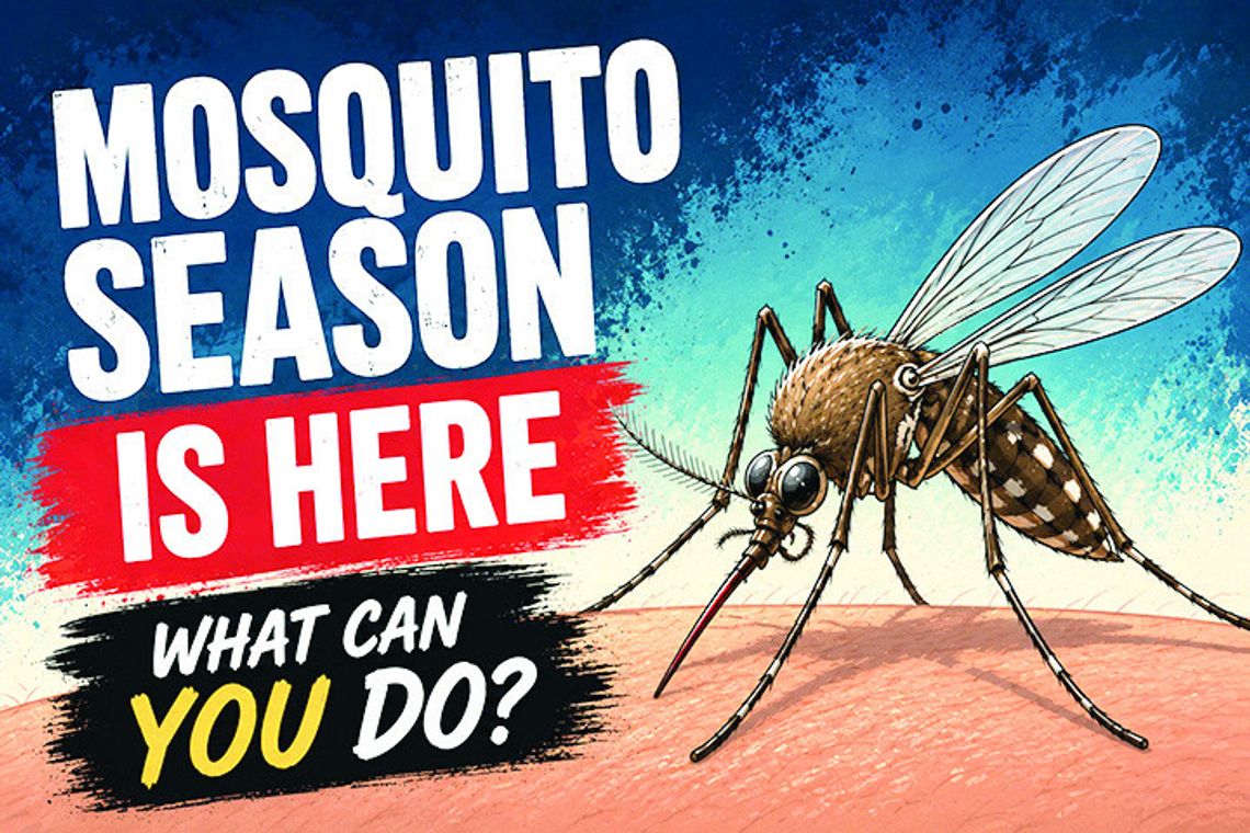 Mosquito season is here: what research says about prevention and relief Mosquito season is here: what research says about prevention and relief
