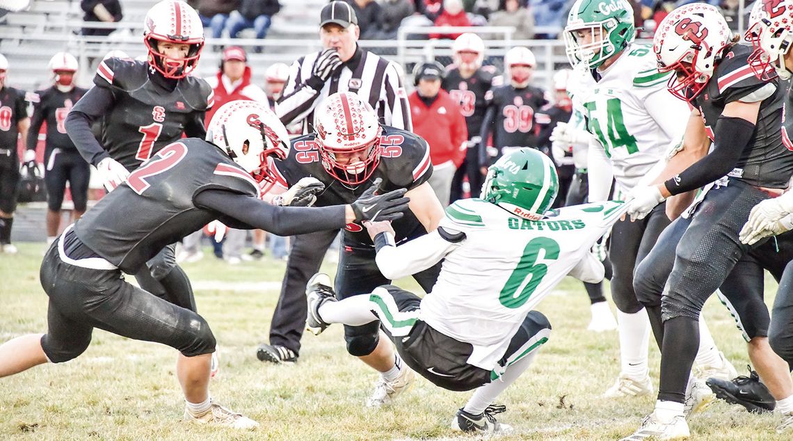 SC swamps the Gators