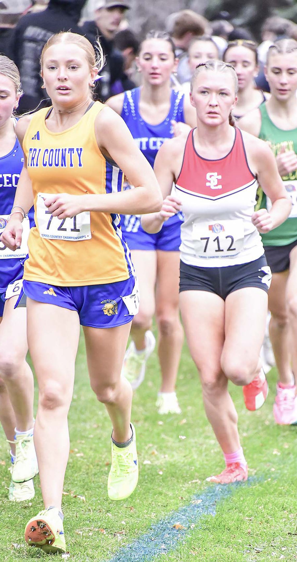 Shaw earns 2nd state meet medal