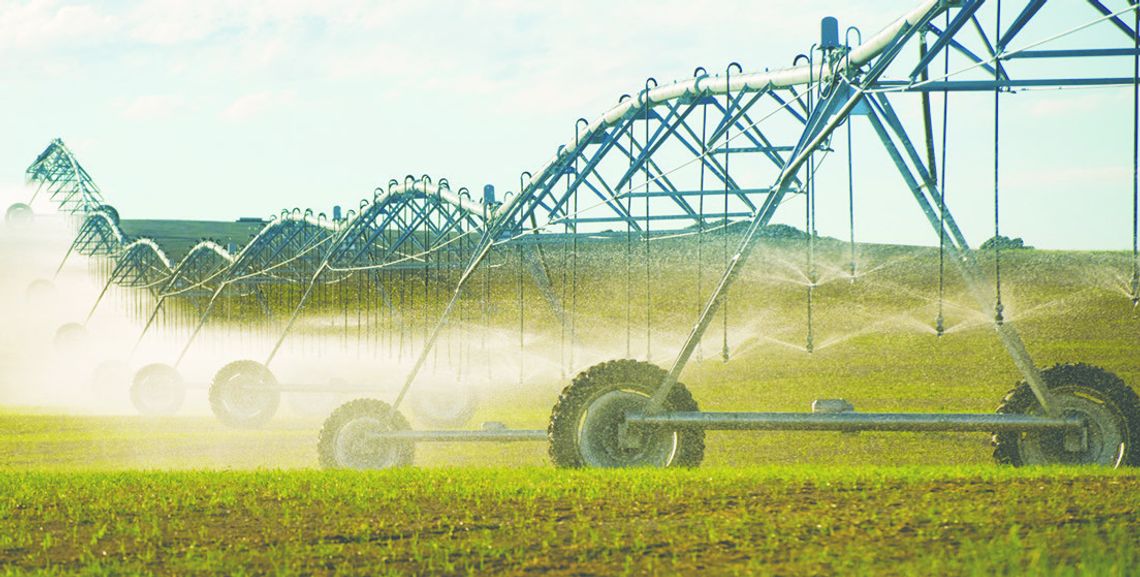 Study shows reduced irrigation and healthy crops